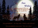 Two Wolves