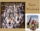 Two Wolves