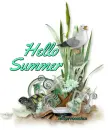 Hello Summer