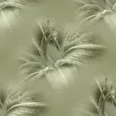 Backgrounds