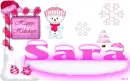Sara -Happy Hoildays
