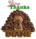 Diane Give Thanks Squirrel