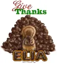 Elia Give Thanks Squirrell