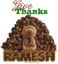 Ramesh Give Thanks Squirrel