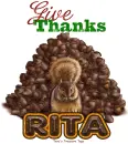 Rita Give Thanks Squirrel