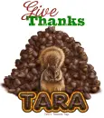 Tara Give Thanks Squirrel