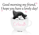 Good morning - Diane