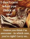 I don't care what you think of me