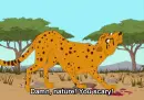 Nature you scary