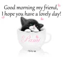 Good morning - Pami