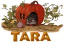 Tara Autumn Hedgehog