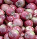 apple photo tiled background