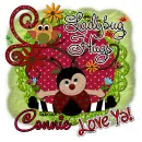 Connie - Ladybug hugs