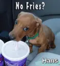 Hans