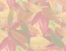 Light autumn leaves tiled background