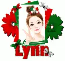 Lynn