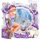 winter wonderland