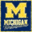Michigan Wolverines ][V][