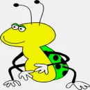 Flirty Bug