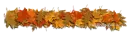 Dry leaves