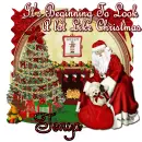 Tonya - Christmas Santa
