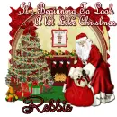Robbie - Christmas Santa 