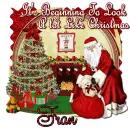 Fran - Christmas