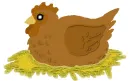 Hen