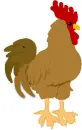 Rooster