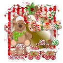 Christmas Reindeer