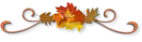 Autumn Divider