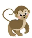 Little Monkey