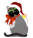 Santa Cat