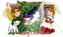 Merry Christmas-Connie
