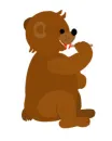 Bear Eating Lollipop