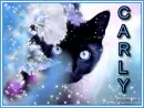 Black Cat - Carly