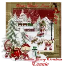 Winder wonder land/Connie