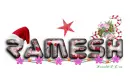 CHRISMAS DECOR - RAMESH