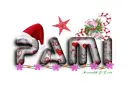 CHRISTMAS DECOR - PAMI