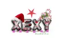 CHRISTMAS DECOR - XEXY