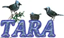 Tara Blue Jays