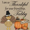 Thankful - Tabby