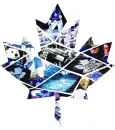 Toronto Maple Leafs
