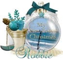 New Zealand Christmas- Robbie