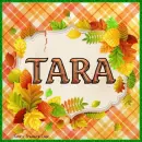 Tara Glorious leaves