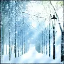 winter