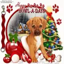 happy howl_ a_days