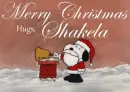 Merry Christmas - Shakela