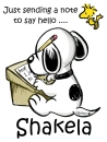 Hello - Shakela