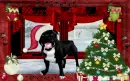 Merry Howl-A-Mas
